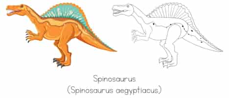 Free vector dinosaur sketching of spinosaurus