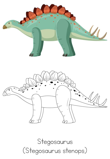 Free vector dinosaur sketching of stegosaurus