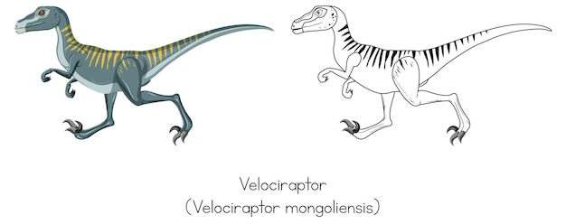 벨로시랩터의 공룡 스케치