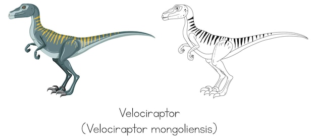 ヴェロキラプトルの恐竜のスケッチ