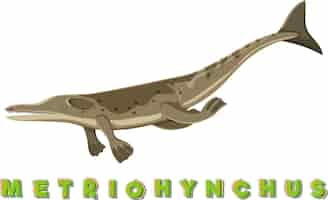 Vettore gratuito wordcard di dinosauro per metriohynchus