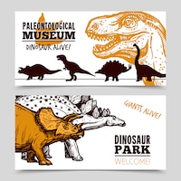 Dinosaurs museum exposition 2 banners set