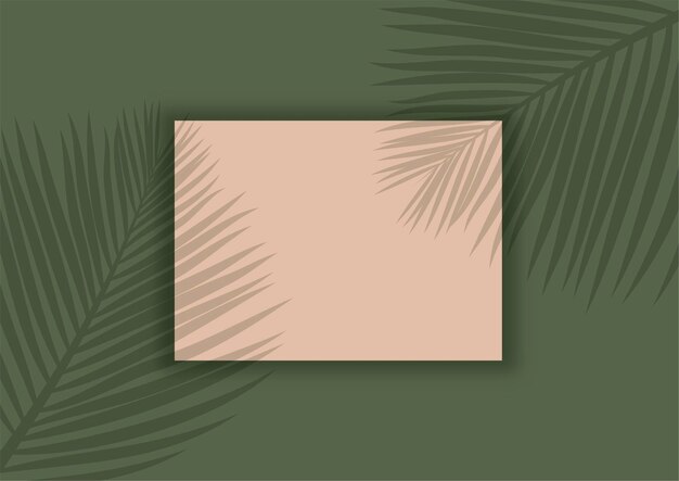 Display background with palm tree leaves shadow overlay