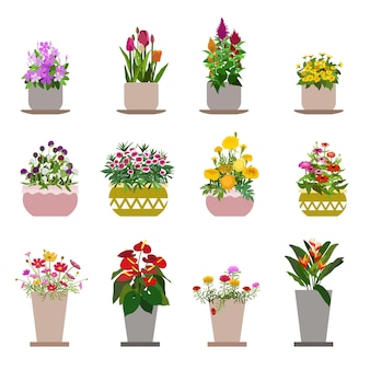 Flowerpot Vectors, Photos and PSD files | Free Download