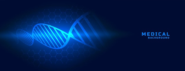 Dna banner in blue medical background style