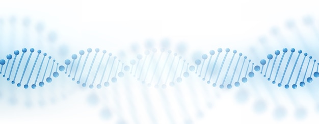 Бесплатное векторное изображение Концепция баннера хромосомы днк.