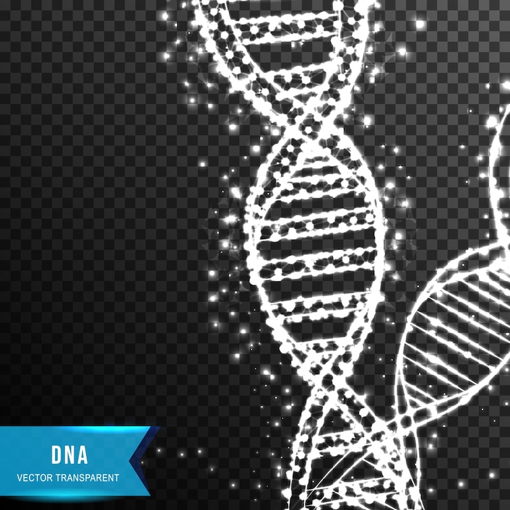Free Vector dna helix molecule from connecting dot and line light effect vector illustration isolated on transparent background