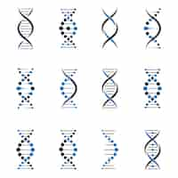 Free vector dna molecule set