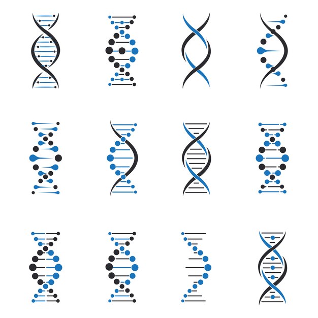 Набор молекул ДНК