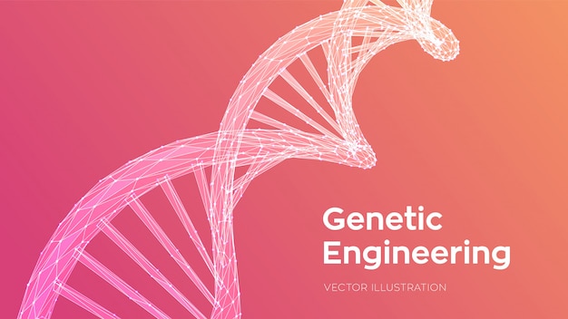 Free vector dna sequence. abstract 3d polygonal wireframe dna code molecules structure mesh.