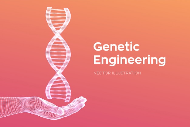 손에 DNA 서열. 와이어 프레임 DNA 코드 분자 구조 메시.