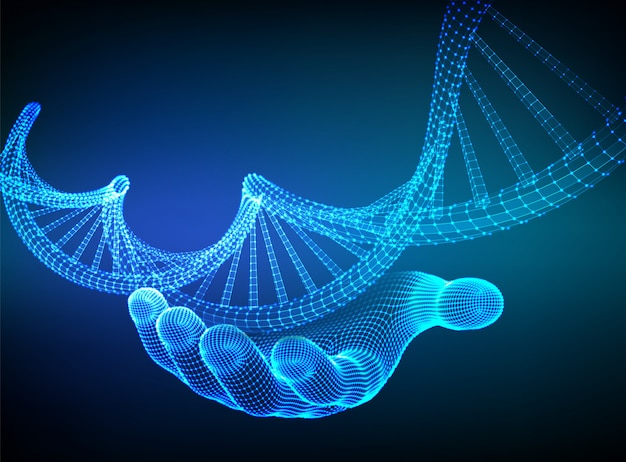 손에 DNA 서열. 와이어 프레임 DNA 코드 분자 구조 메시.