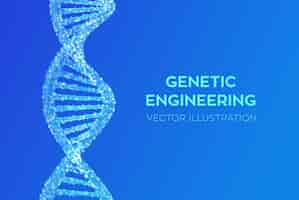 Free vector dna sequence. wireframe dna molecules structure mesh. dna code editable template. science and technology concept. vector illustration.