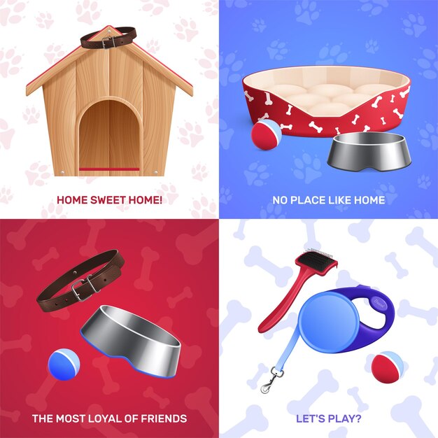 Dog accessories illustration set