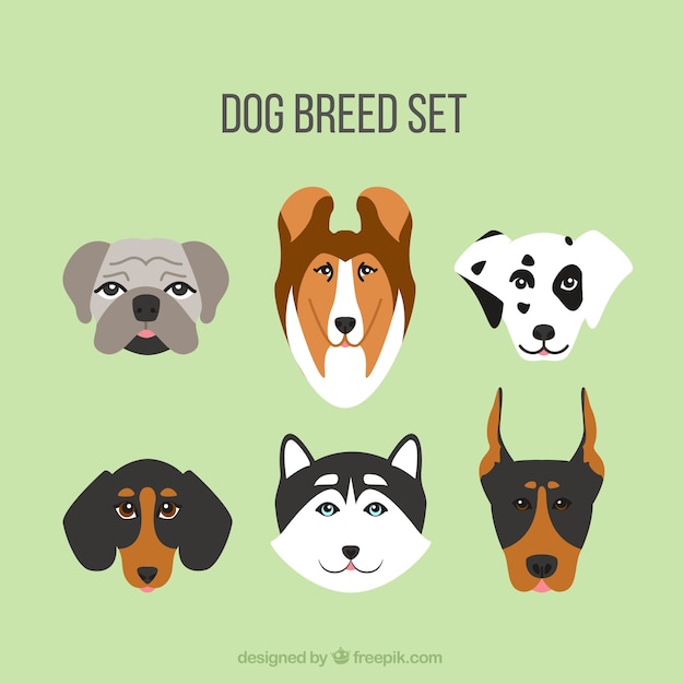 Free vector dog breed set in flat design