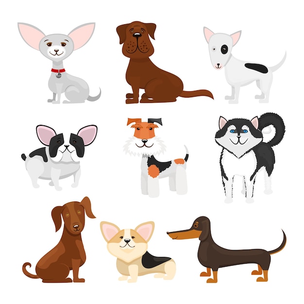 Dog breeds cartoon set. Set breeds pet funny puppy illustration
