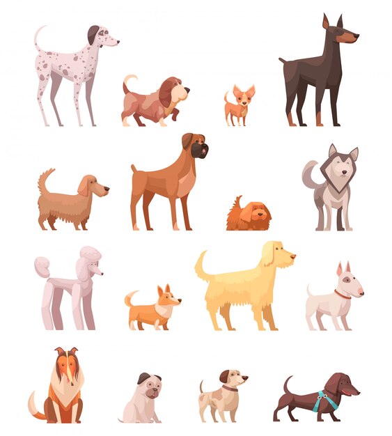 Собака породы ретро мультфильм иконки коллекция с хаски Poedel Колли и такса собака изолированных векторные иллюстрации
