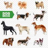 Free vector dog breeds transparent icon set