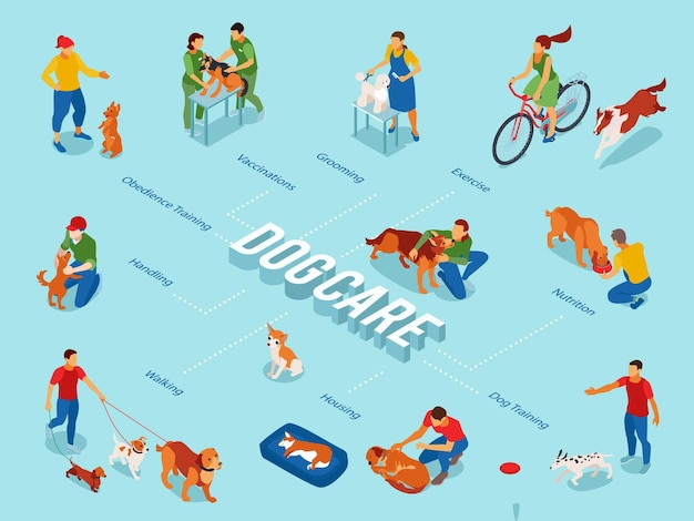 Free vector dog care center isometric flowchart with puppy obedience training pets outdoor walking exercise grooming feeding vector illustration