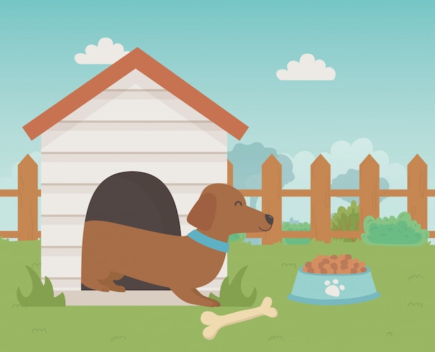 Free vector dog cartoon design vector illustrator