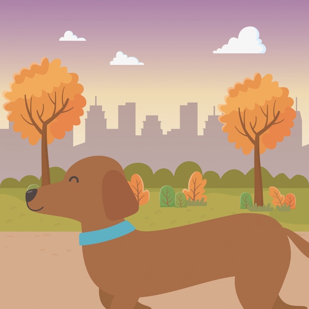 Free vector dog cartoon