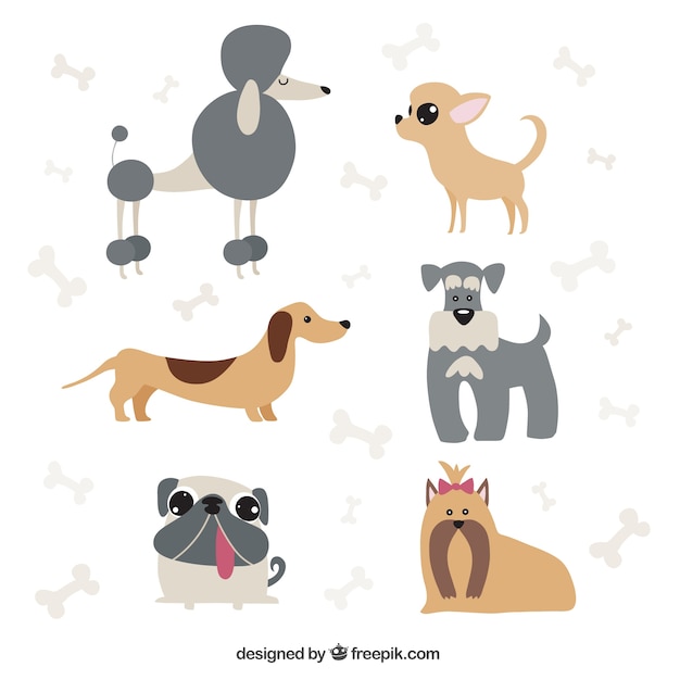 Free vector dog cartoons pack