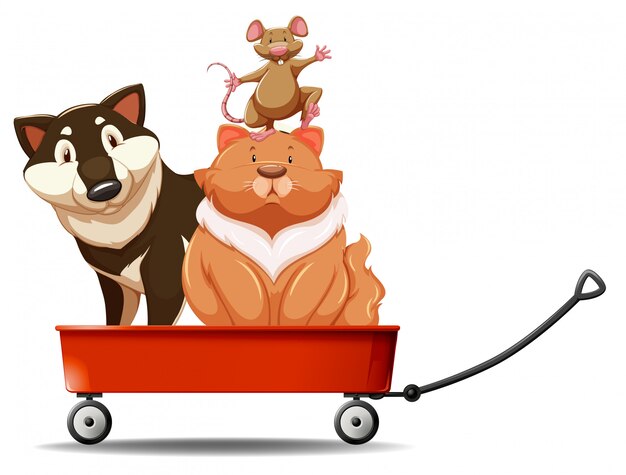 Собака и кошка на красный вагон