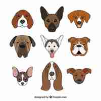 Free vector dog collection design