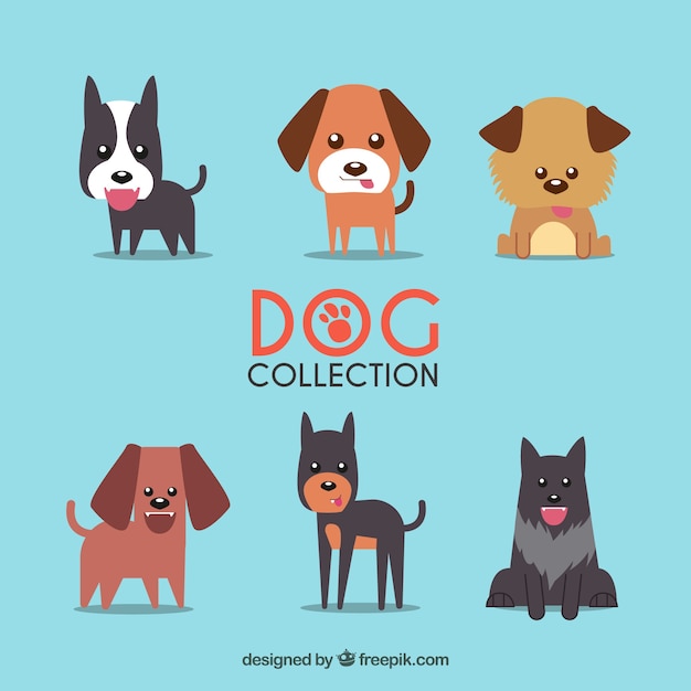 Vettore gratuito collezione dog in design piatto