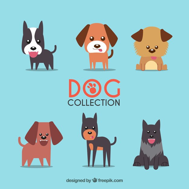 フラットデザインの犬のコレクション