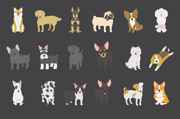 Dog collection 