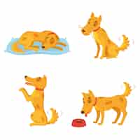 Free vector dog in different states. cartoon character set. sleeping, gnawing bone, performing, eating.