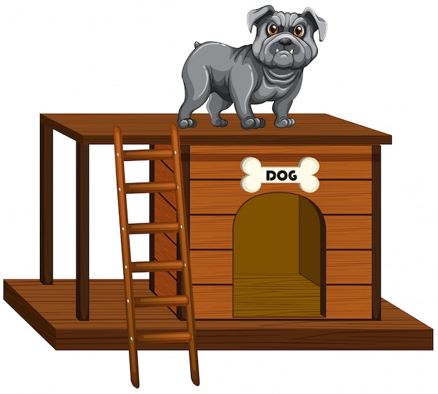 Dog house with cute dog standing