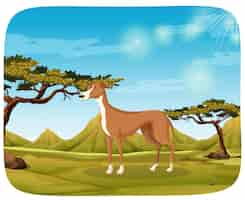 Free vector a dog in nature background