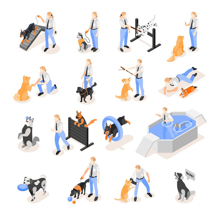Free Vector dog school icons collection