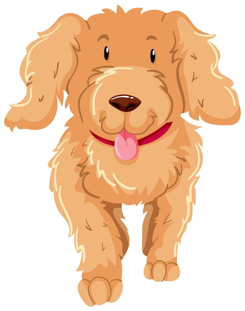 Бесплатное векторное изображение Собака с пушистой коричневой шерстью
