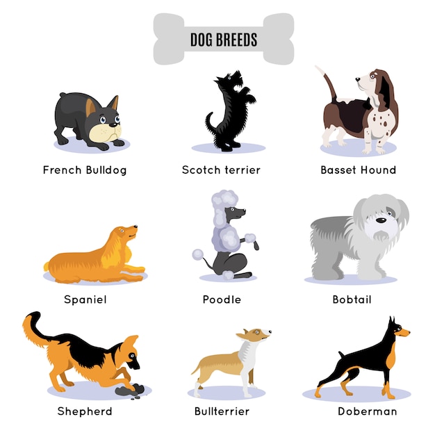 Free vector dogs breed colored set