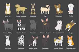 Free vector dogs collection