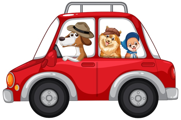 Dogs driving a car on white background