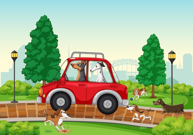 Dogs driving and running in the park