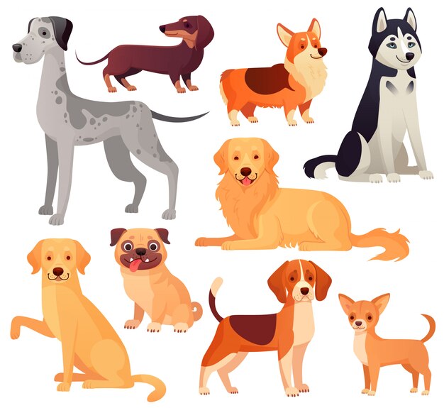 犬のペットのキャラクター ラブラドール犬 ゴールデンレトリバー ハスキー 漫画分離セット プレミアムベクター