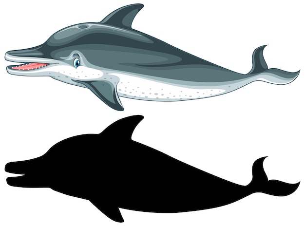 Dolphin characters and its silhouette on white background