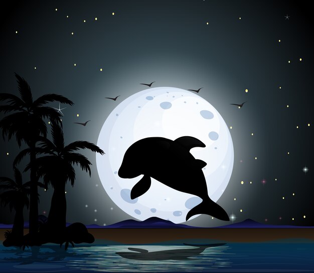 Dolphin in nature scene silhouette