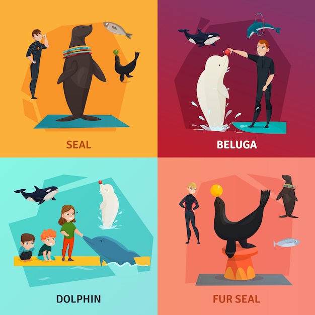 Free vector dolphinarium show composition set