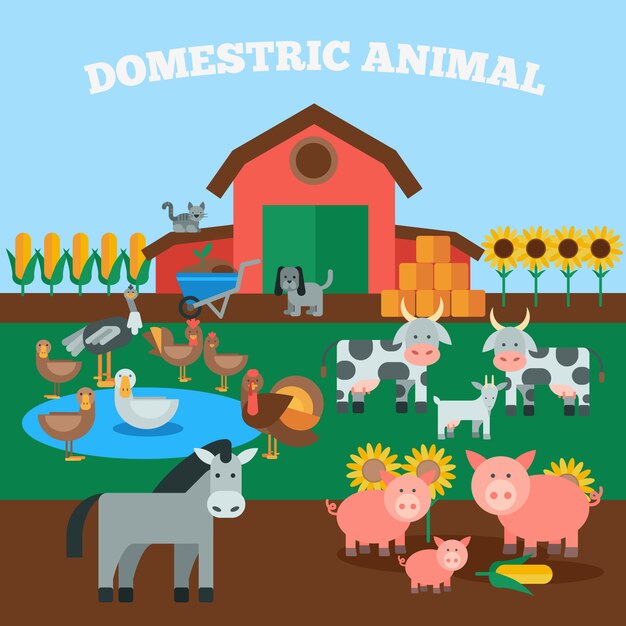 Domestic Animals Concept