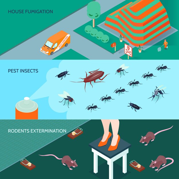 Le insegne orizzontali di disinfezione domestica hanno messo con i metodi dell'illustrazione isolata isometrica di vettore 3d di sterminio dei roditori e degli insetti