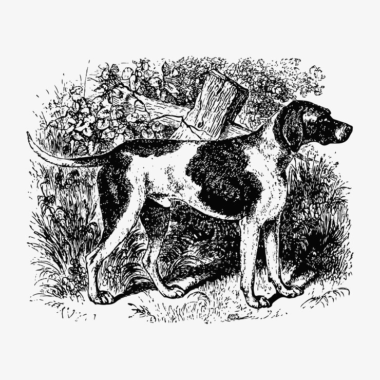 Free Vector domesticated hunting dog