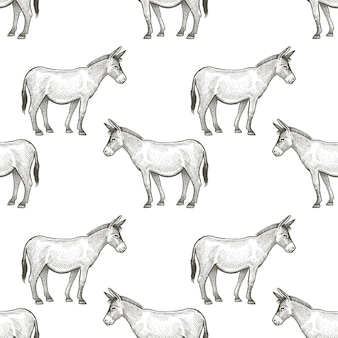 Donkeys. seamless vector pattern with animals. black and white illustration.