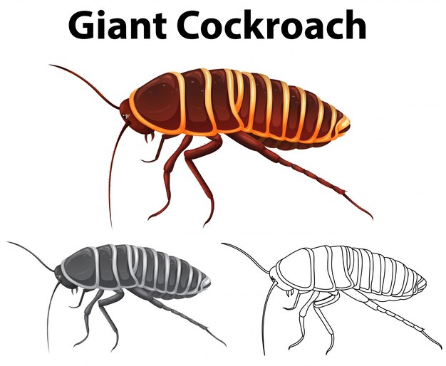 Doodle animal for giant cockroach