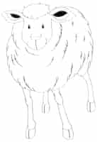 Free vector doodle animal for sheep